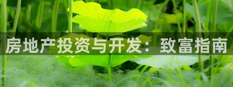 万向娱乐公司官网电话