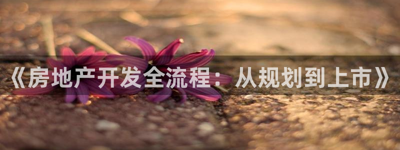 万向娱乐官网