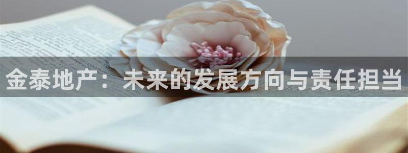 万向娱乐老板