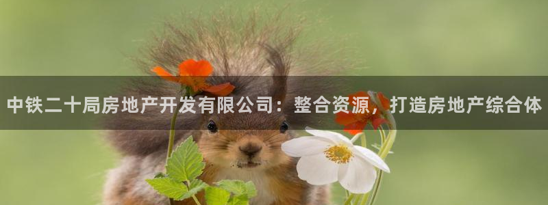 万向娱乐招商