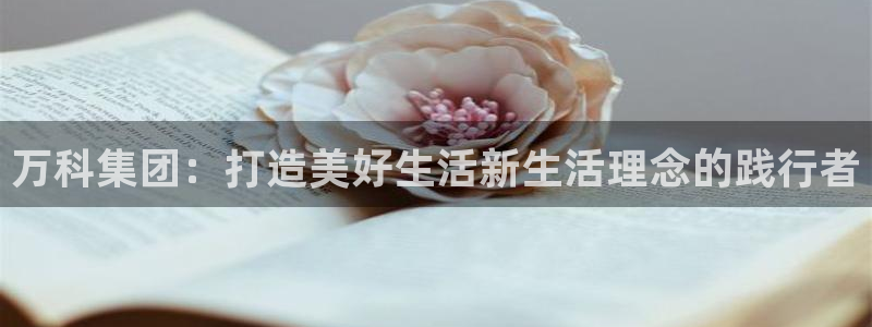 万向娱乐平台下载安装手机版