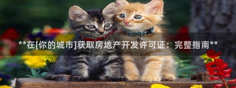 万向娱乐app下载安装