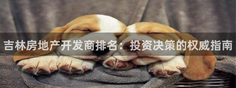 万向娱乐灯333OO