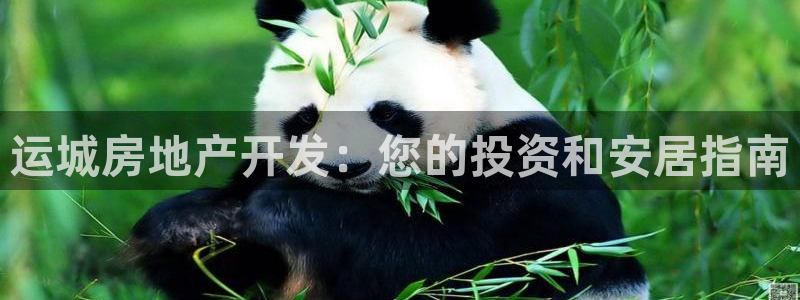 万向娱乐平台代理多少钱一个