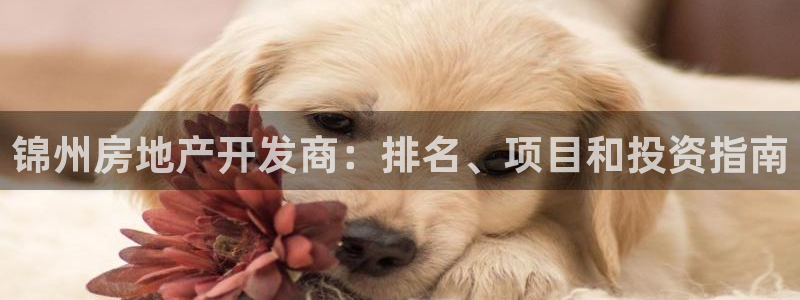 万向娱乐王者荣耀