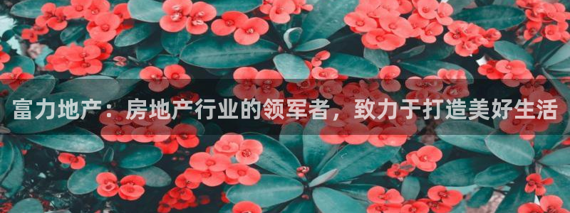 万向娱乐平台怎么下载