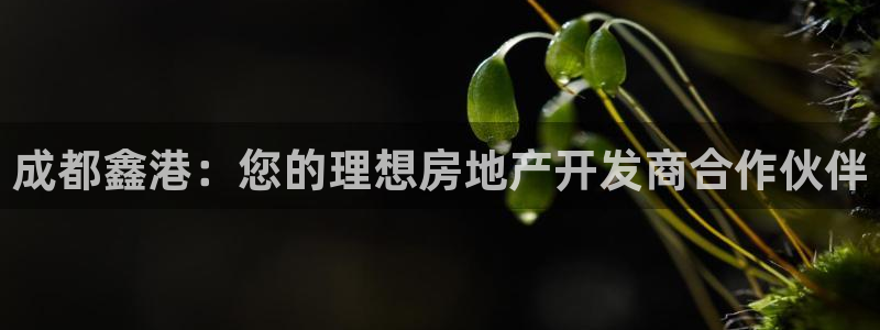 万向娱乐平台代理多少钱一个月