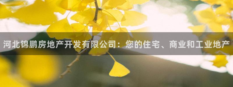 万向娱乐的494o3 主管