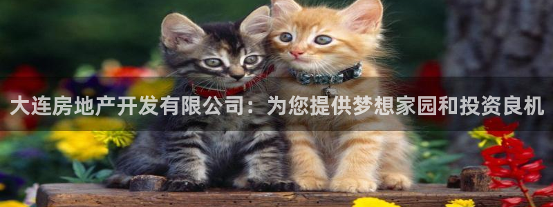 万向娱乐平台代理怎么样啊