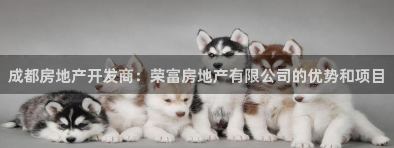 万向娱乐官网下载安卓