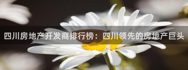 万向娱乐平台代理多少钱一个