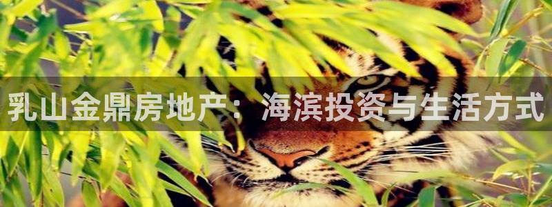 万向娱乐
