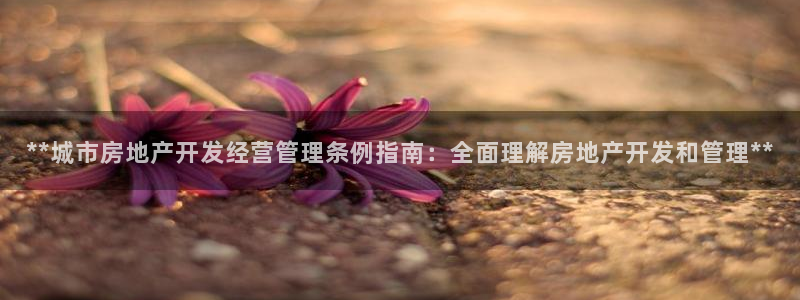万向娱乐登陆官网下载