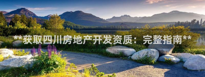 万向娱乐的494o3 主管
