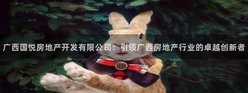 万向娱乐