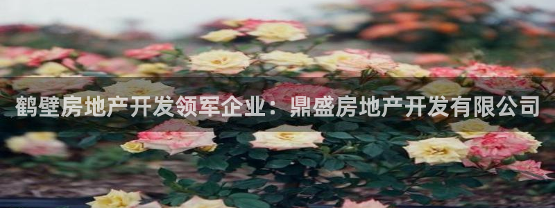 万向娱乐公司官网