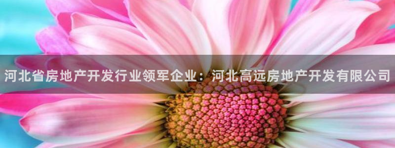 万向娱乐下载安装
