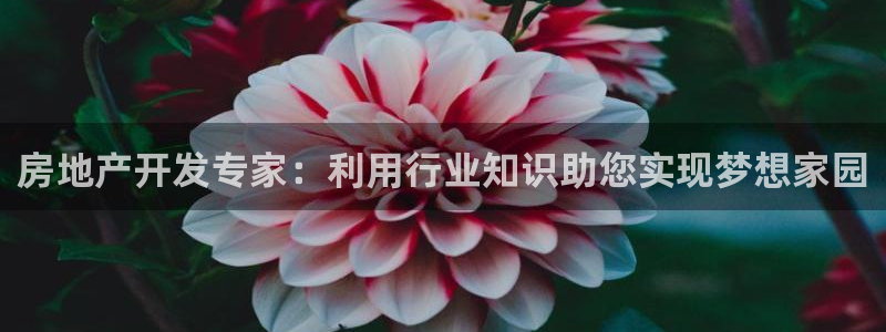 万向娱乐总代