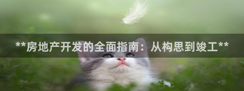 万向娱乐技术