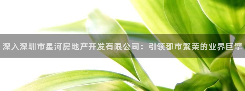 万向娱乐app下载苹果版