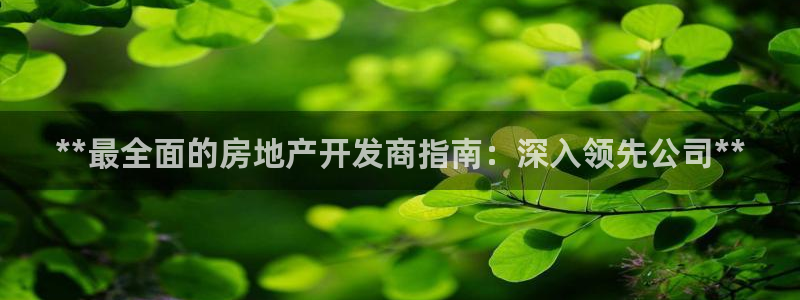万向娱乐挂机