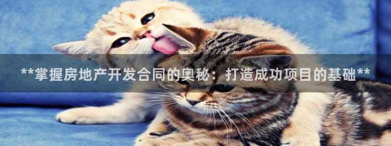 万向娱乐平台代理多少钱一个月