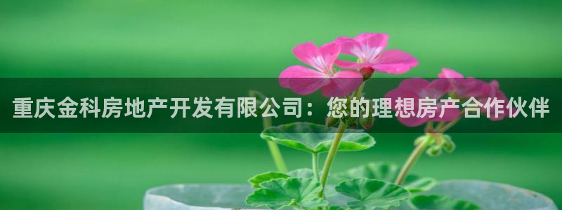 万向娱乐官网网址大全