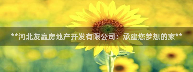 万向娱乐平台代理怎么做