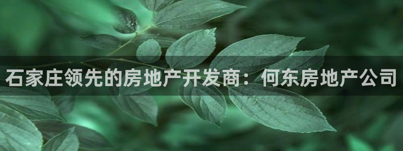 万向娱乐的联系方式