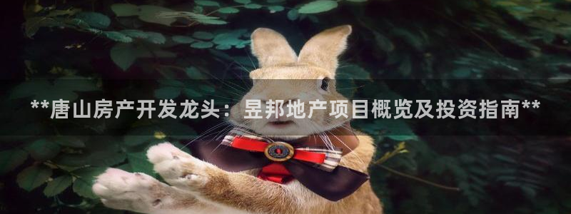 万向娱乐登陆官网入口