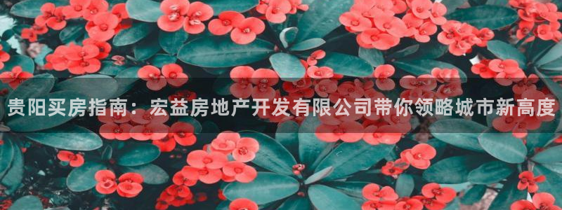 万向娱乐官网网址大全