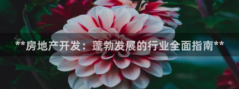 万向娱乐平台代理多少钱