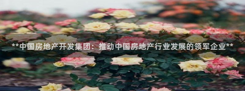 万向娱乐平台怎么下载