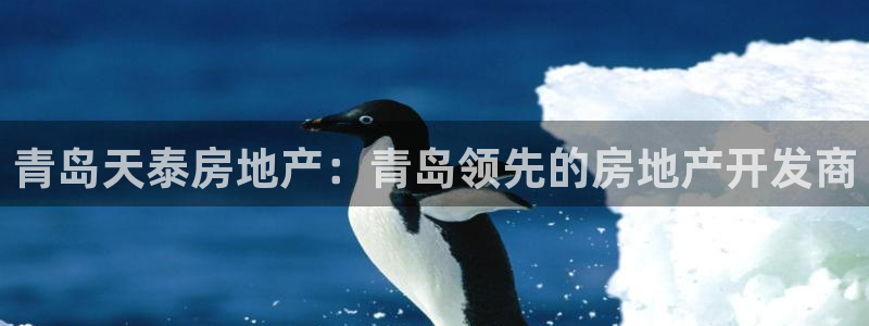 万向娱乐官网网址是什么