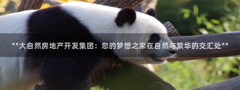 万向娱乐是野鸡台吗