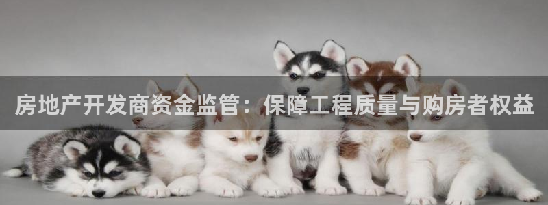 万向娱乐老板