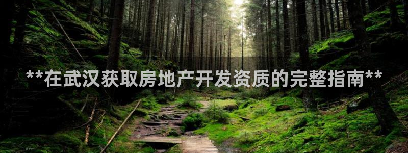 万象游戏代理