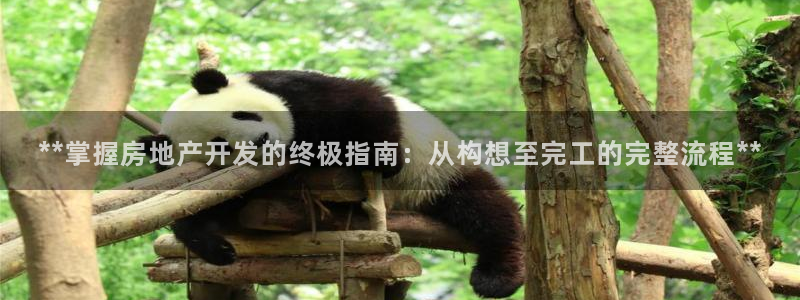 万向娱乐招商
