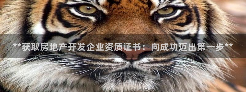 万向娱乐平台代理怎么样可靠吗