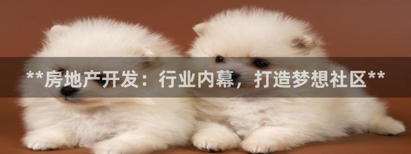 万向娱乐的联系方式有哪些