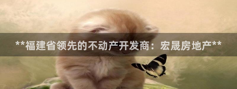 万向娱乐官网网址是什么