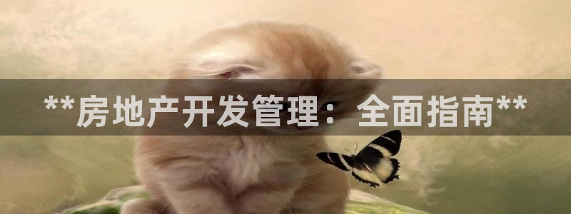 万向娱乐下载