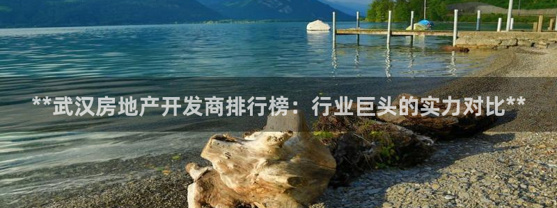 万向娱乐的联系方式有哪些