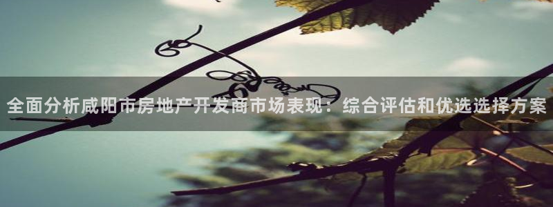 万向娱乐平台代理多少钱一年