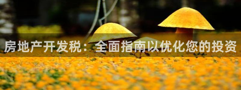万向娱乐总代