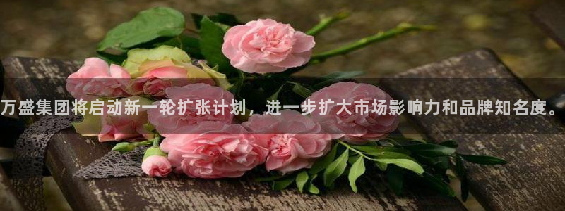 万向娱乐代理好看视频