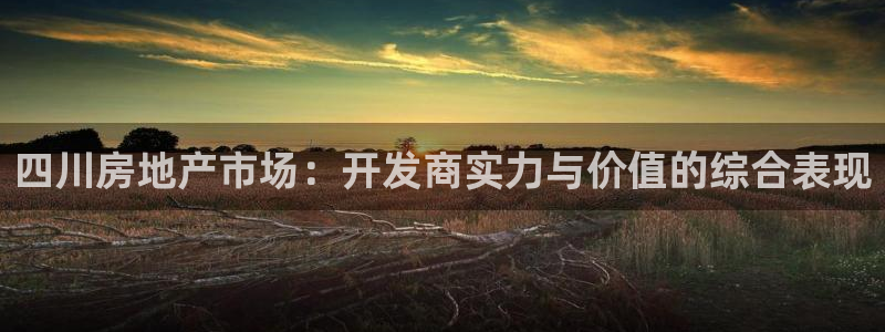 万向娱乐app下载官网