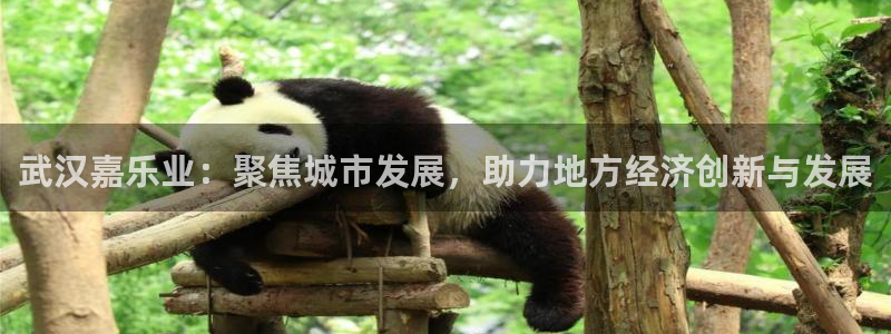 万向娱乐王者荣耀