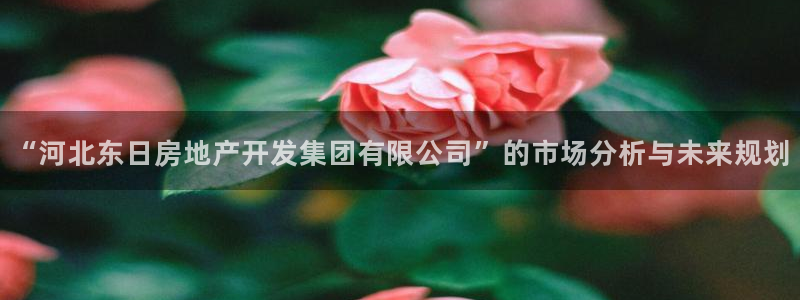 万向娱乐老板