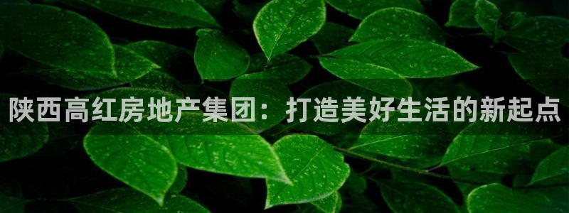 万向娱乐app下载